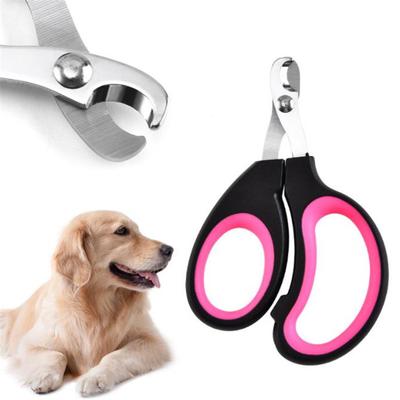 Köpek – Köpek bakım ürünleri
