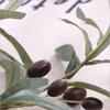 Props Vase Decoration Simulated Artificial Olive Leaf Olive Branch Floral Materials Green Plant