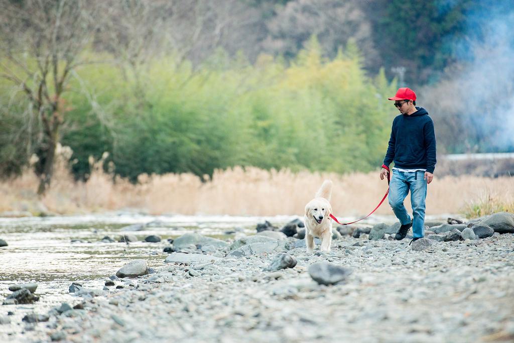 EZYDOG (Authorized Distributor) Soft Trainer Dog Leash, 120cm, Gray