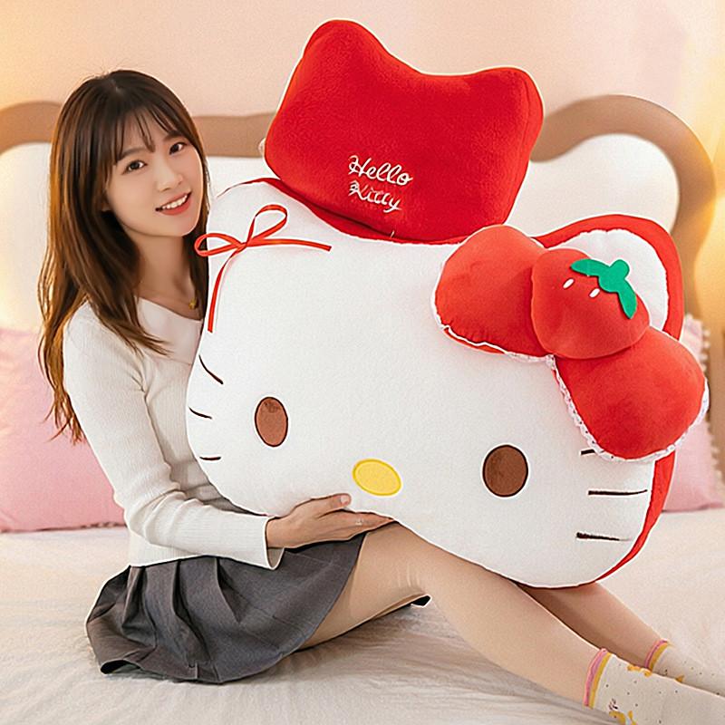 Plush Pillow With Pp Cotton Filling For Gift For Teens And Kids