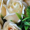 Romantic Valentine's Day Eternal Flower 18 Soap Rose Bouquet Gift Box Mother's Day Birthday Gift