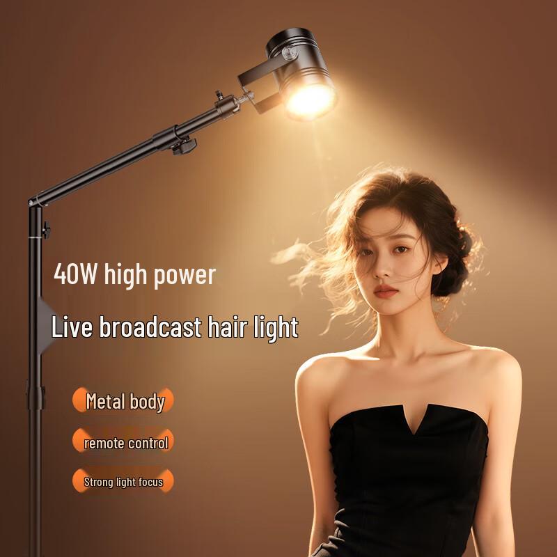 Professional Live Stream Hair Fill Light
