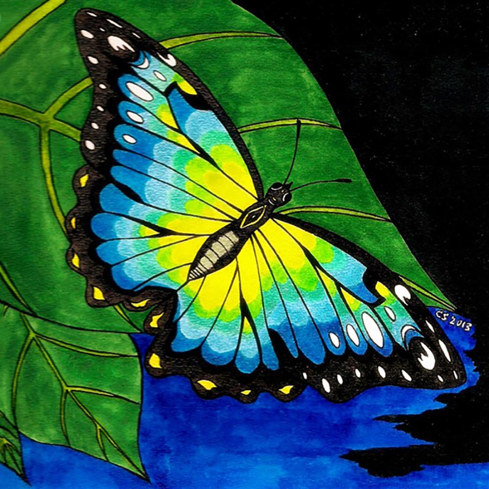 Diy 5D Diamond Painting Butterfly Flower Diamond Embroidery Cross Stitch Kit Mosaic Picture Home Decoration New Year Gift