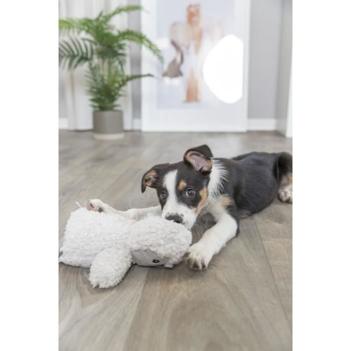 Jouet peluche - Trixie - Pingouin - Pack de 3 - Résistant - Hygiène dentaire