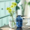 Glass Vase Aesthetic Flower Pot Hydroponics Flower Arrangement Supplies Transparent Vase Table Ornaments Home Decor