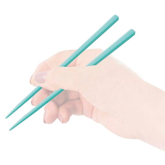 Skater Chopsticks and Chopstick Case Set, Disney Chip 'n Dale, Retro Cafe, 18cm, Antibacterial, For 