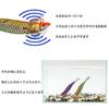[Egi] Squid Jig 3.5 30g Purple 1pc