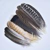 10Pcs Real Natural Eagle Feathers for Crafts Decoration Turkey Pheasant Carnival Hats Accessories Feather Decor Plumes Headpiece