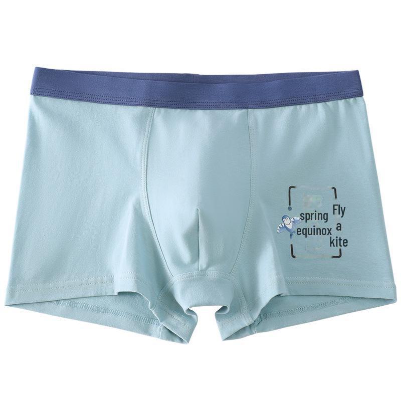 Mittelhohe antibakterielle Boxershorts für Teenager-Jungen für Junior High Schüler