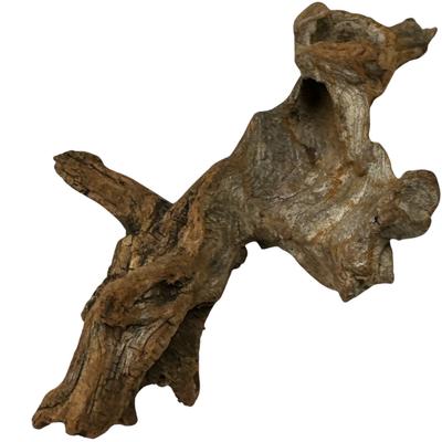 Bois flotté dur 21-40 cm