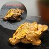 Color-Changing Golden Toad Tea Pet
