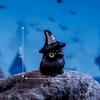 12PC Halloween Ornament Cartoon Witch Ghost Pumpkin Figurine Micro Landscape Dollhouse Model Car Interior Desktop Decoration