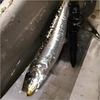 Shimano Lure Ocea Special Order Hiramasa 145F 006 Kyorin Katakuchi (SHIMANO) OT-145K
