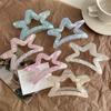 Lucky Star Iridescent PVC Star Cutout Hair Claw - Large High-End Updo Clip