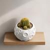 Birthday Gift for Plant Lovers 3D Printed Lunar Flowerpot Succulents, Creative Moon Surface Planter Small Green Pot Desktop Decor, Minimalist