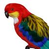 Artificial Parrot Figurines Photo Props Feather Parrot Macaw for Pathway Ornaments