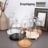 Preserved Flower Glass Dome with Dust Cover - Creative Valentine's Day Home Decor, Customizable with Logo.