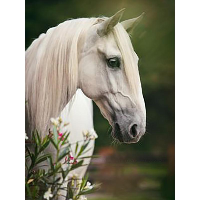 DIY Horse 5d Diamond Painting Full Round Drill Rhinestone Animal Diamond Embroidery Cross Stitch Kits Wall Art Home Decor Gift