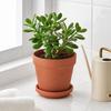 Terrakotta Blumentopf, Ton Pflanztopf mit Drainageloch, Poröser Terrakotta Pflanzgefäß für Innen Außen Pflanzen Sukkulenten Kakteen Kräuter