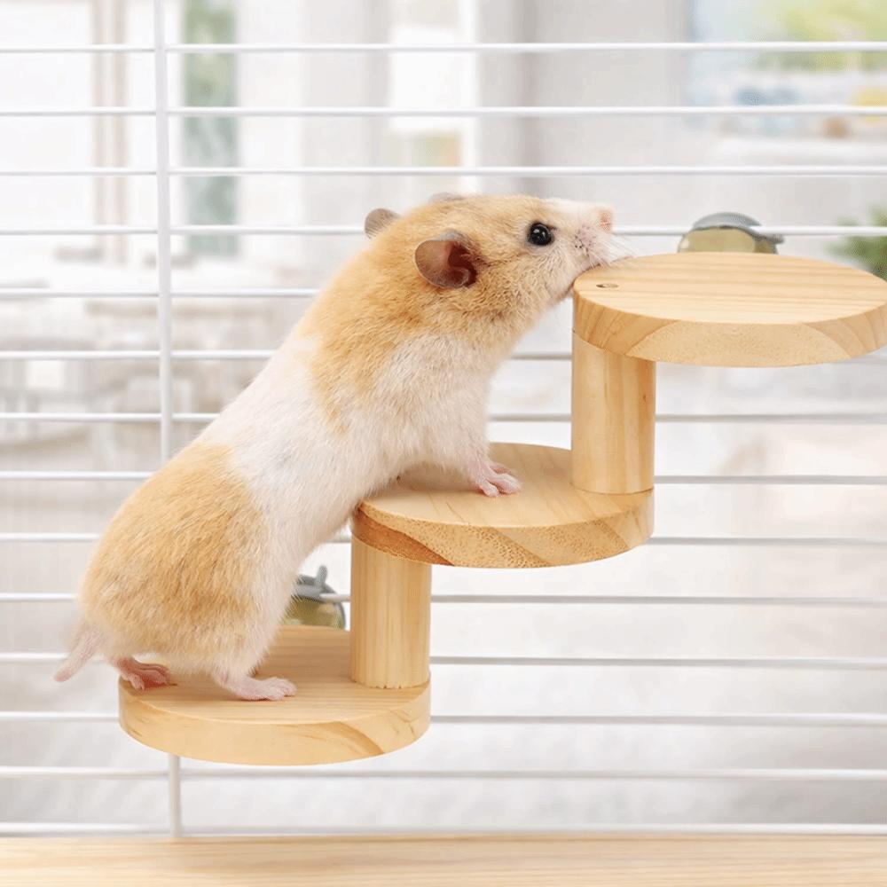 Bite Resistant Hamster Wooden Ladder Wall Mounted Hamster Climbing Toy  Enrichment Activity