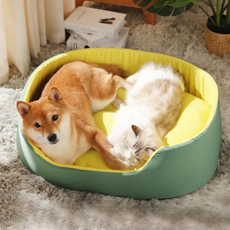 dog recliner bed