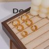 Women’s High-End Metallic Gloss Hoop Earrings, Luxurious Niche Design, 2024 Trendy Ear Hoops