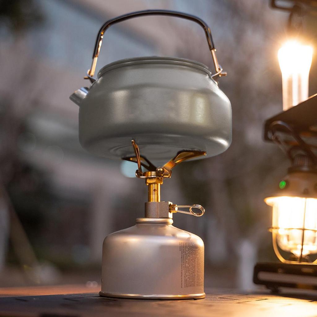 Tea Kettles 0.8L Stainless Steel Boiling Kettle With Foldable Handle Warmer Portable Boiler Dispenser For Countertop Travel