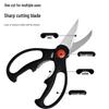 Oeny Multi-function 3-Piece Kitchen Scissor Set