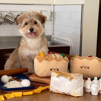 Cani – Giocattoli per cani