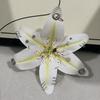 Phalaenopsis Orchid Lily Keychain Exquisite Bag Pendant Fashion Car Key Ring