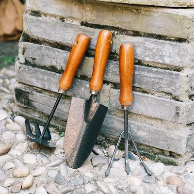 Unelte de grădinărit pentru flori Lopată de fier Pământ vrac Lopată pentru flori de uz casnic Săpat și plantare de flori Lopată mică de fier