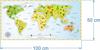 Decorative Stickers for Kids - World Map