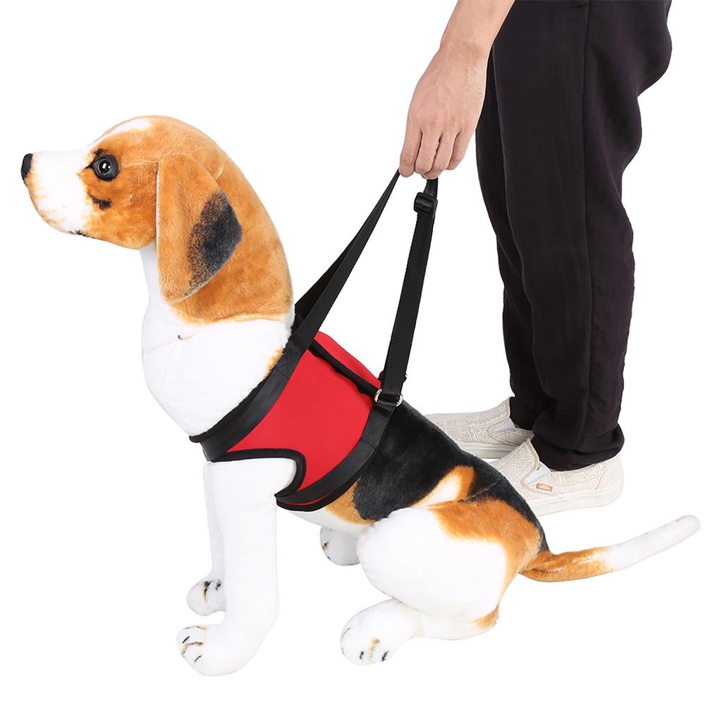 Front Dog Leg Support Harness Walking Aid Lifting Pulling Vest for Old & Injured Dogs (S)