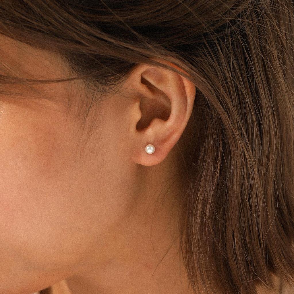 Luxury Set: Stainless Steel Pearl Stud, Dolphin Shell, Titanium Steel Earrings