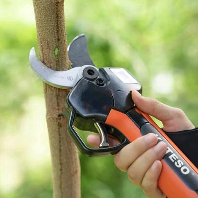 Herramientas de jardinería – Tijeras de jardinería
