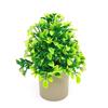 Green Leaves Artificial Grass Bonsai with Flowerpot Photo Props Potted Plant Ornament Simulation Grass Potted Decoration