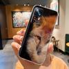 Pro Xiaomi Mi 12T 12 T Pro Pouzdro Průhledné Měkký Silikon Ochrana Čočky Zadní Kryt Pro Xiaomi Mi 12T 12 Mi12 12X Lite Pro Kryt Telefonu