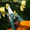 Half-moon Gardening Stainless Steel Shears for Pruning