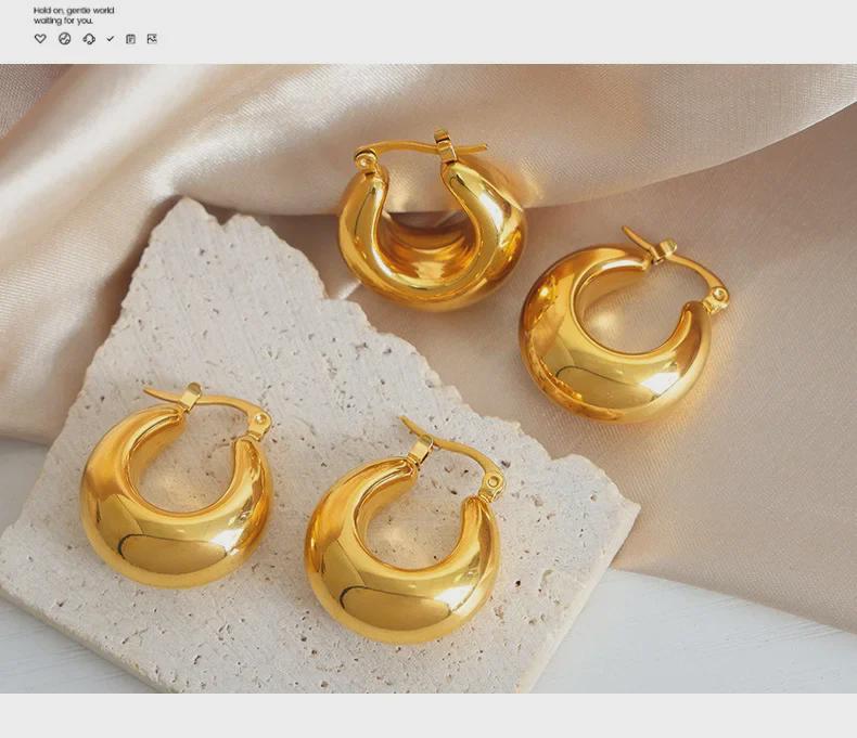 Versatile Geometric Gold-Plated Arc Earrings in Titanium Steel