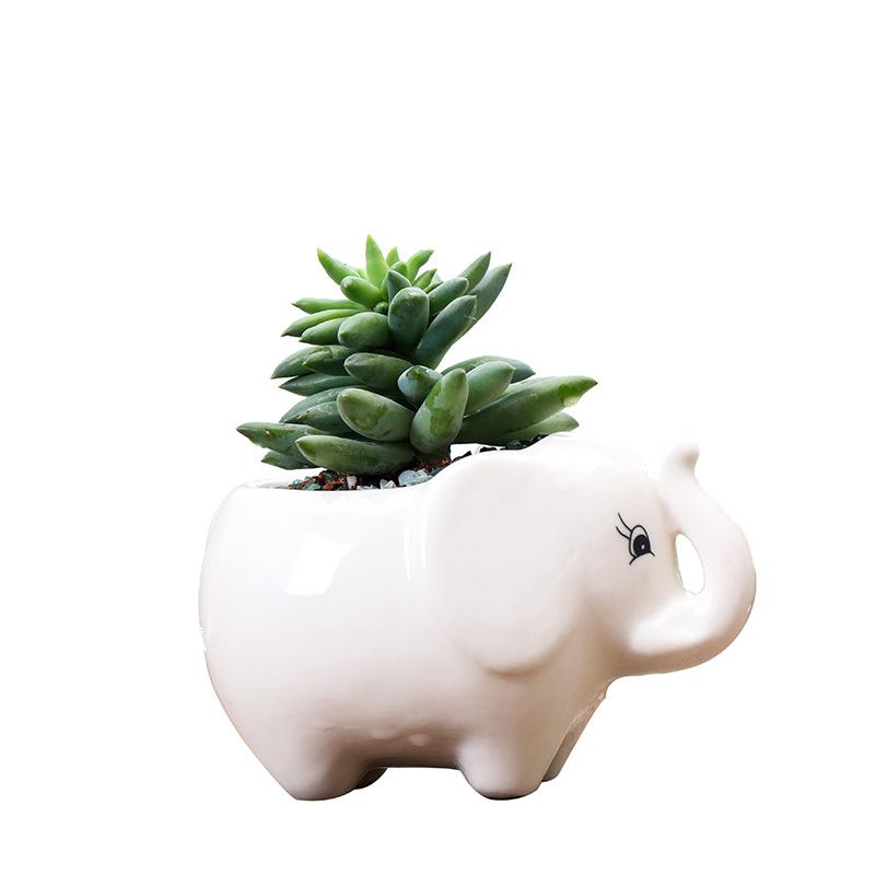 Simple Outdoor Gardening Creative Succulent Flower Pot, European Balcony Desktop Elephant Ceramic Flower Pot Flower Pot
