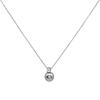 Gray Pearl Zircon Pendant Necklace for Women – Elegant Autumn/Winter Clavicle Chain Accessory.