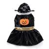 Striped holiday thickened pet supplies kitten puppy outing dog walking dress up winter heattech dog clothes