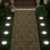 4Pcs Solar Powered Dog Cat Animal Paw Print Light Energy Saving Path Lawn Lamp  Summer Camping