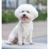 Badibo Pet Winter Fur Harness + Leash Set, White