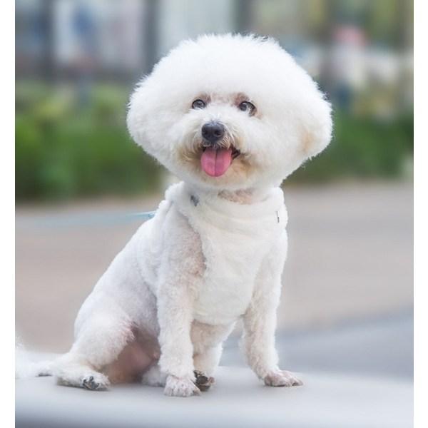 Badibo Pet Winter Fur Harness + Leash Set, White
