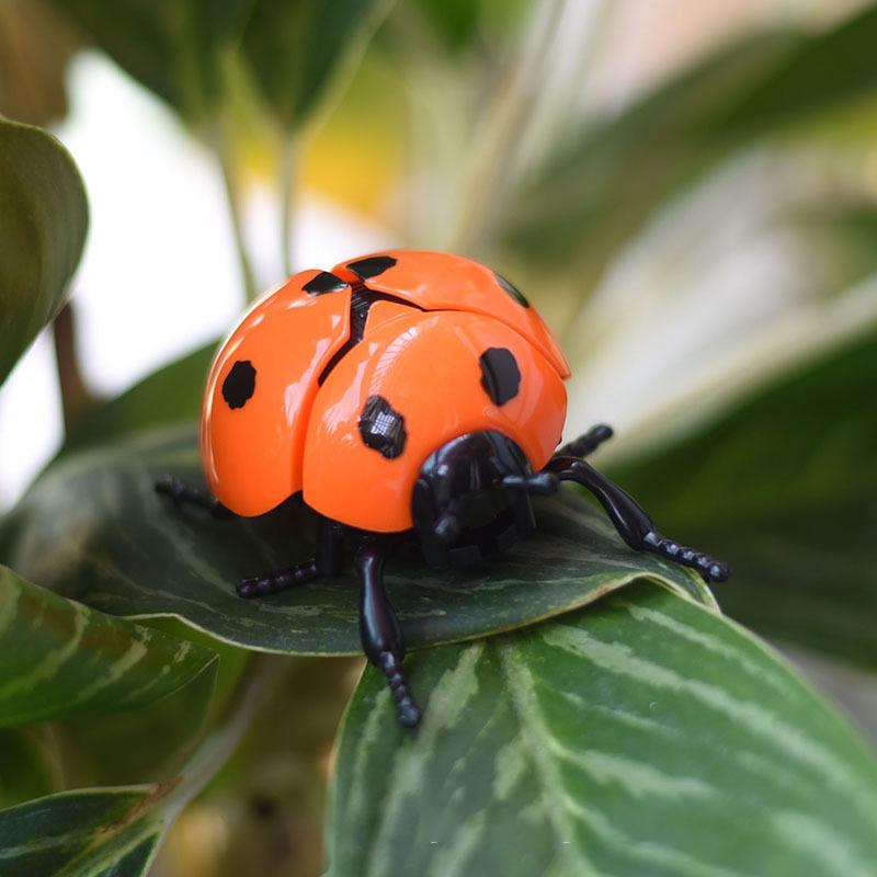 1/4 Stück Witzbold Animiertes Insekt Spielzeugmodell Aufzieh-Käfer Bionische Spielzeuge Pillendreher Kinder Plastiktiere Aufziehspielzeug