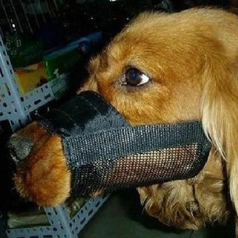 Comfortable Thickened Adjustable Dog Mouth Cover, Anti Bite And Anti Ingestion, Breathable And Non Stuffy Pet Mask