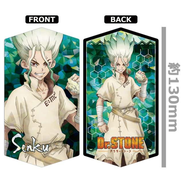 Dr. STONE Prism Visual Collection (BOX)