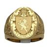 Niche Trend New Simple Crown Lion Ring Royal Seal Ring Personalized Creative Street Hip-hop Punk Men's Party Gift Accessories