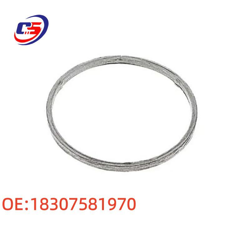 BMW Exhaust Pipe O-Ring Gasket F20 F21 E82 18307581970